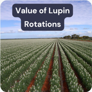 Determine if legumes are profitable for your system and the optimal area to establish for various production and price outlooks.