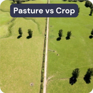 Discover the optimal pasture-crop balance for your farm under various price scenarios.